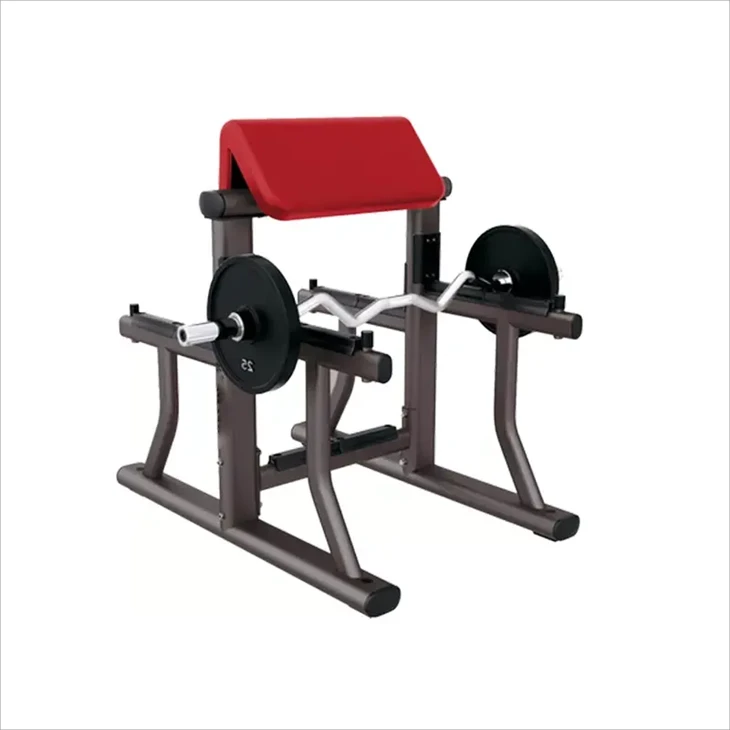 Arm Curl Bench:An Ideal Helper For Powerful Biceps Training best